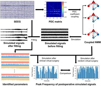 Predicting radiofrequency thermocoagulation surgical outcomes in refractory focal epilepsy patients using functional coupled neural mass model